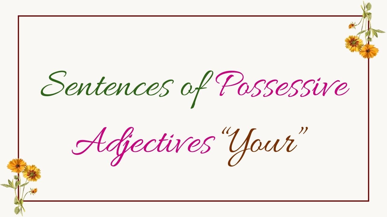 Sentences of  Possessive Adjective 