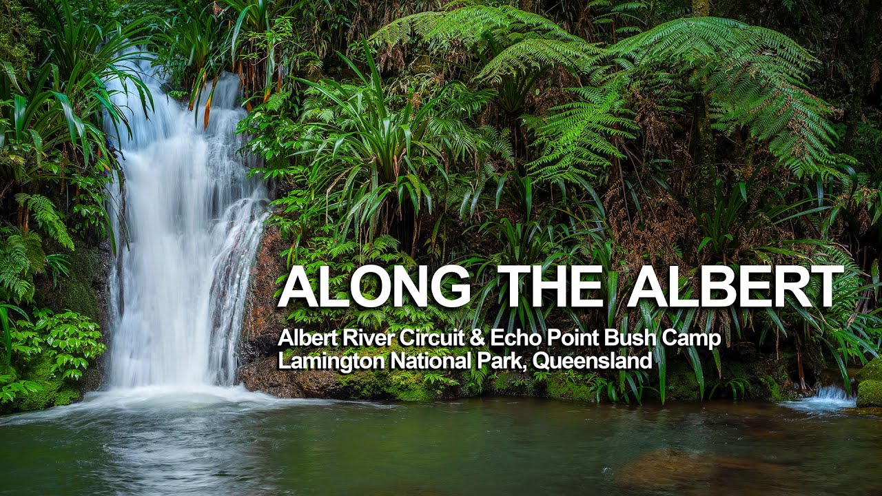 Along the Albert - Albert River Circuit and Echo Point bush camp, Lamington National Park
