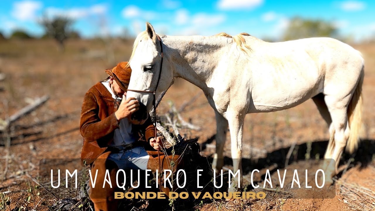 UM VAQUEIRO E UM CAVALO