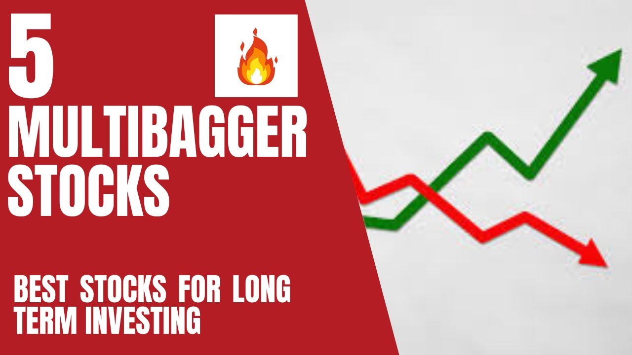 How to pick multibagger stocks in India? | Multibagger stocks 2020