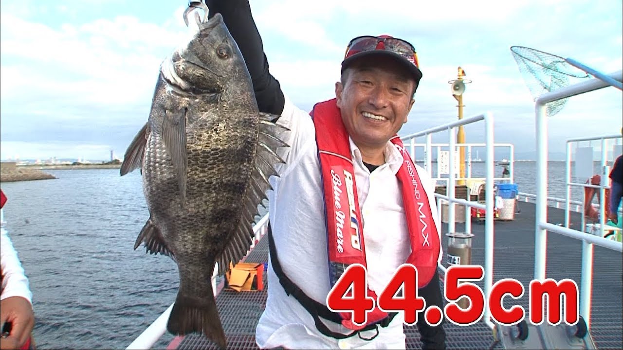サビキ釣り＆フカセ釣り　海釣り公園でファミリーフィッシング（四季の釣り/2018年8月24日放送）