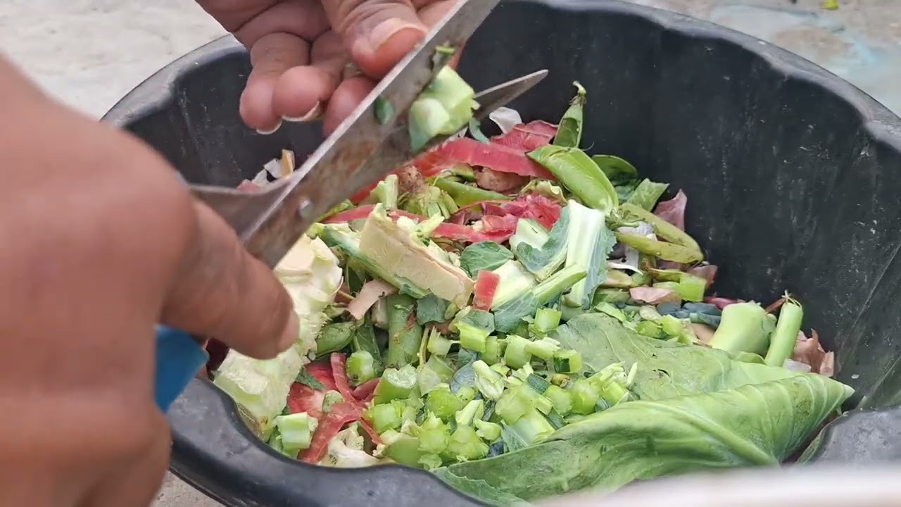 very powerful home made fertiliser from Kitchen waste