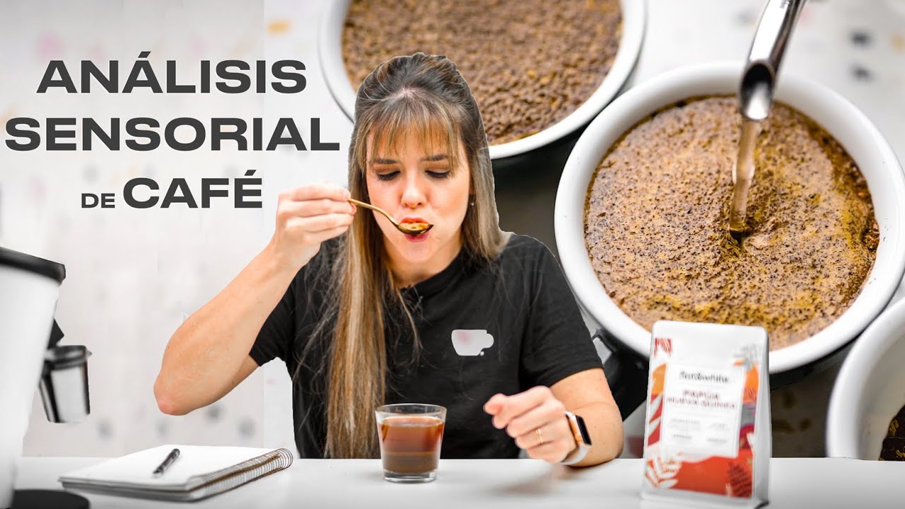 CÓMO IDENTIFICAR SABORES en el CAFÉ? // NOTAS de CATA