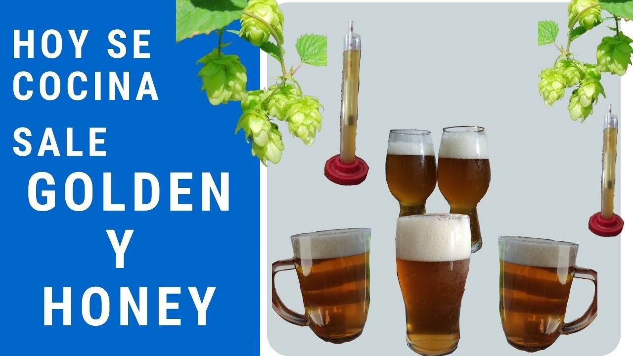 Preparación de una cerveza Golden y Honey. Cerveza Artesanal con Miel.
