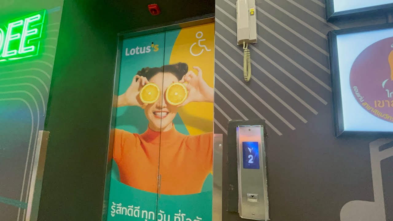 Lotus’s On Nut Elevator Tour!