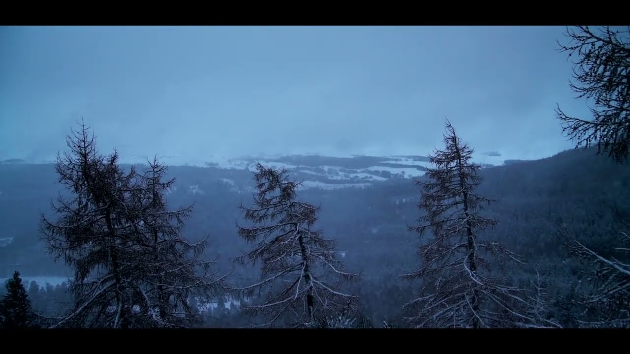 Atholl Hill in the snow, Dunkeld