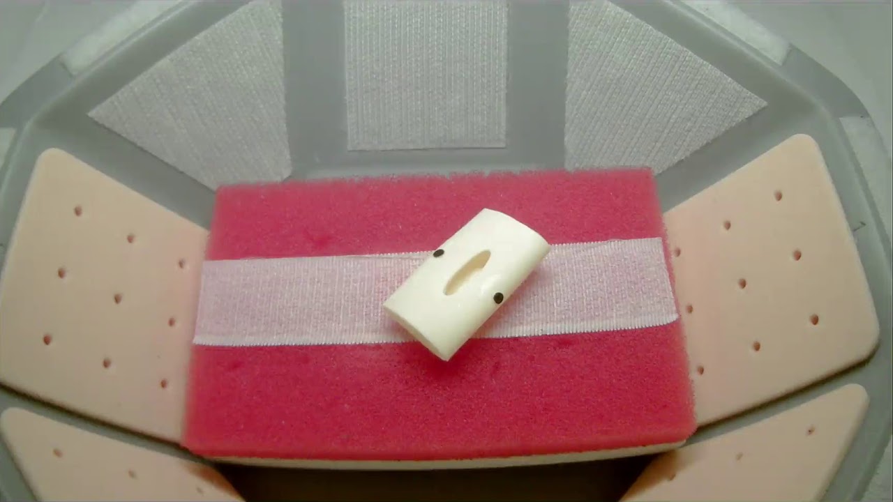 Exercise L-3: extracorporeal tie