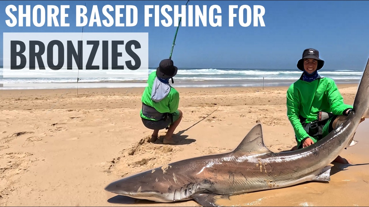 Shore based fishing for BIG Eastern Cape BRONZIES!! Shark fishing in South Africa at its best!