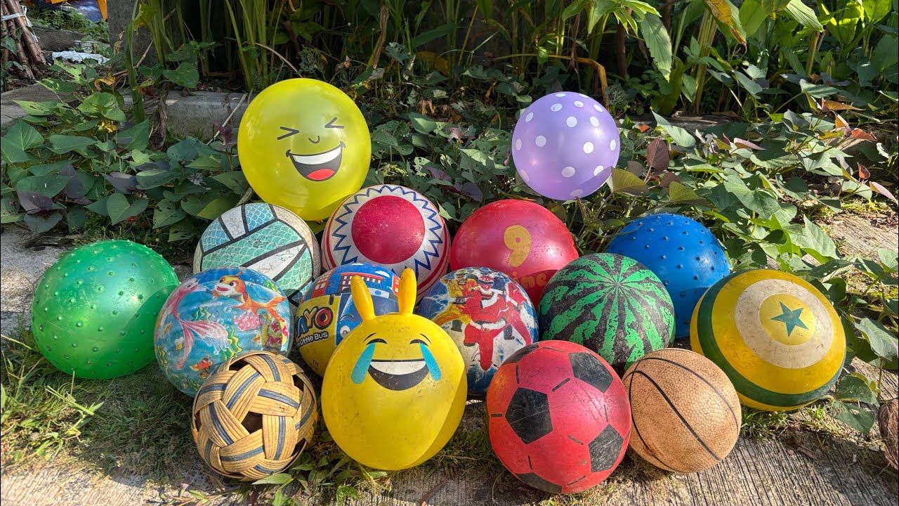 HUNTING BALON LUCU 🎈DAN BOLA BOLA 🏀⚽️🏐 627