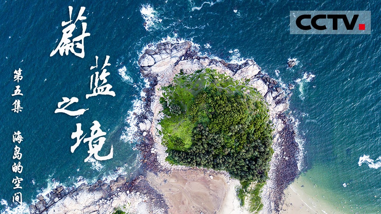 《蔚蓝之境》 第五集 在中国近海的岛屿存活着哪些神秘的生物?它们又是如何在岛屿上进化和生存的？【CCTV纪录】