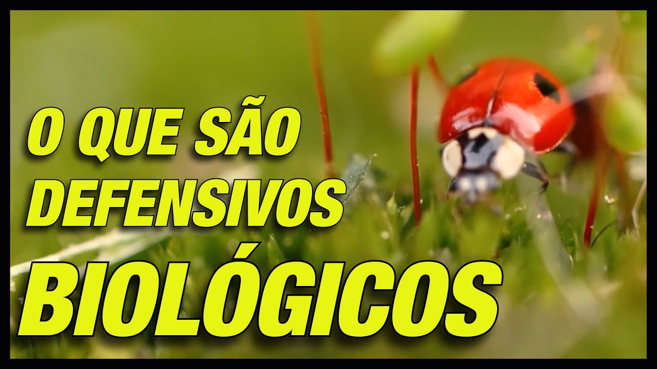 O QUE SÃO DEFENSIVOS BIOLÓGICOS - [GUIA COMPLETO]
