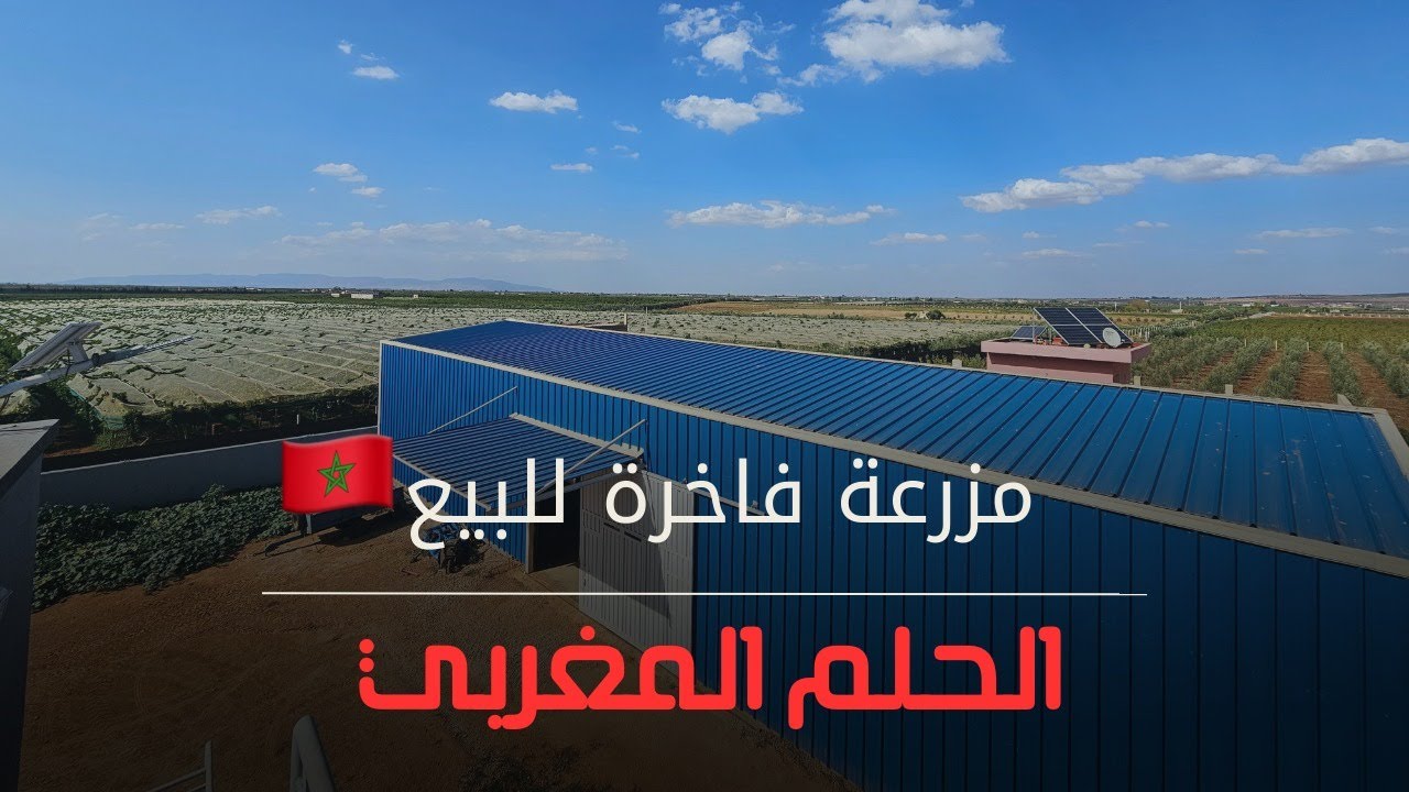 🇲🇦 أجي تشوف أجمل مزرعة للبيع نواحي مكناس | الحلم المغربي 🇲🇦