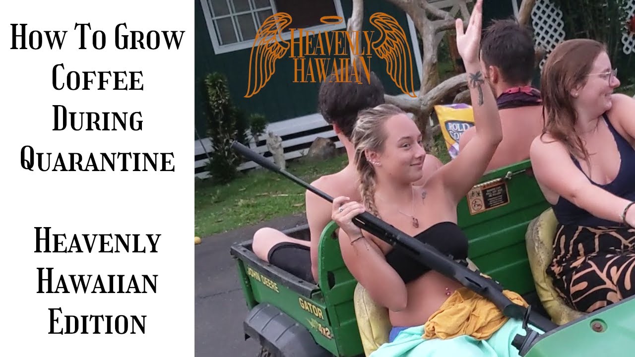 WHAT WE DO DURING QUARANTINE (Mockumentary of a Kona Coffee Farm on The Big Island of Hawaii)