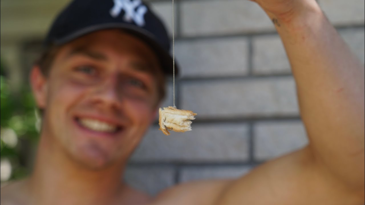 Karpervissen: Actief Oppervlakte Vissen Met De Broodkorst | DWFishingteam