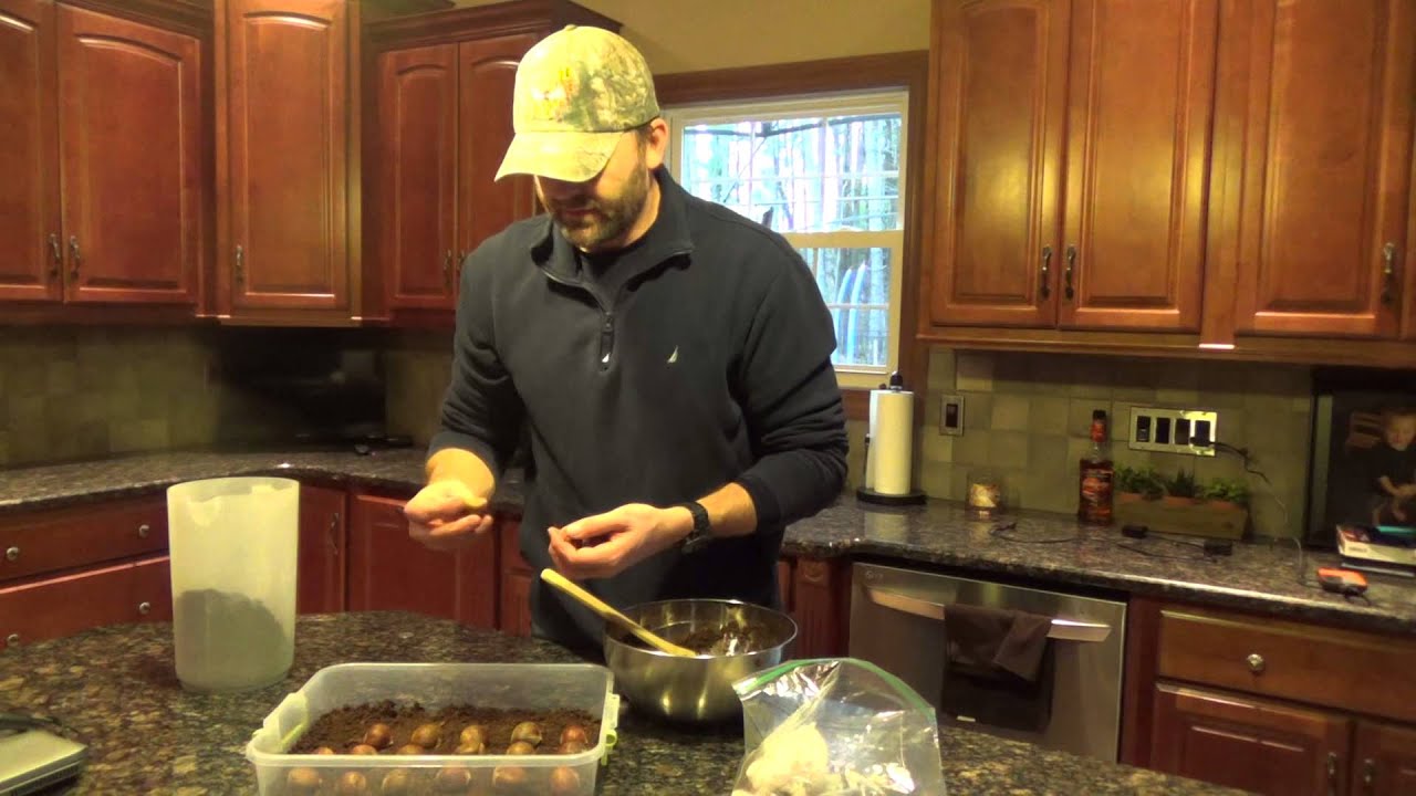 How to Grow Chestnuts from Seed