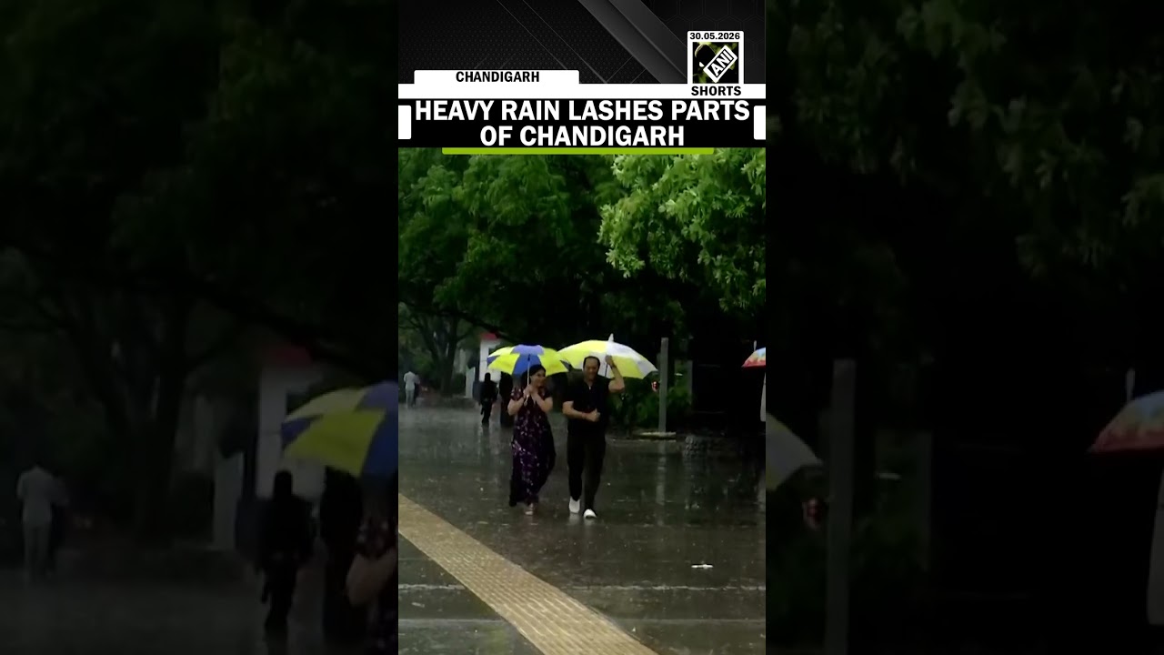 Weather News: Heavy rain lashes parts of Chandigarh, offers relief from scorching heat