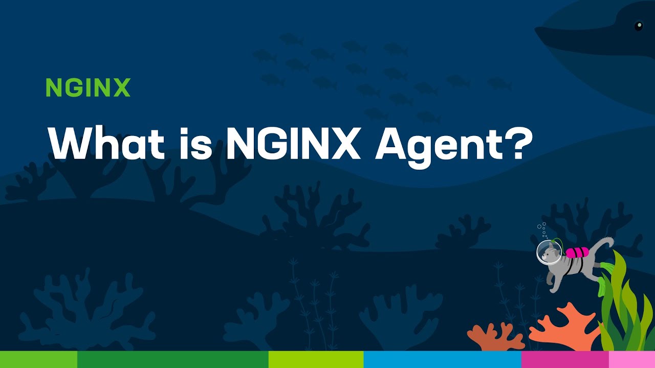 What is NGINX Agent?