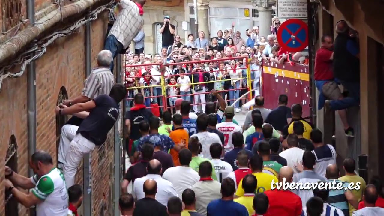 Toro Enmaromado 2019 en Benavente