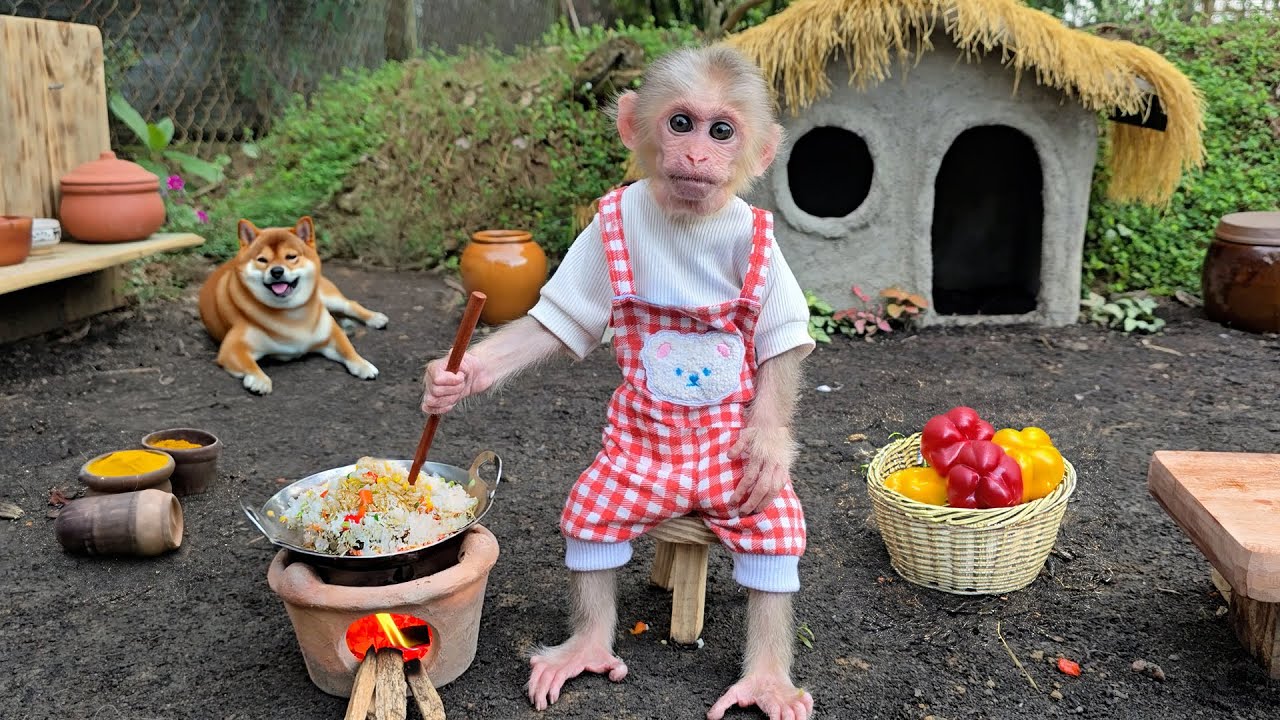 Auntie harvests cucumbers and bell peppers to make fried rice for baby monkey Xuka