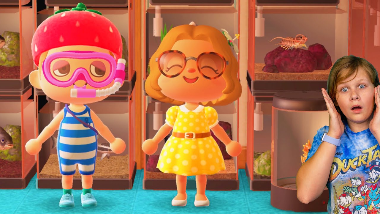 Assistant and Mr Engineer Build an indoor aquarium on Animal Crossings