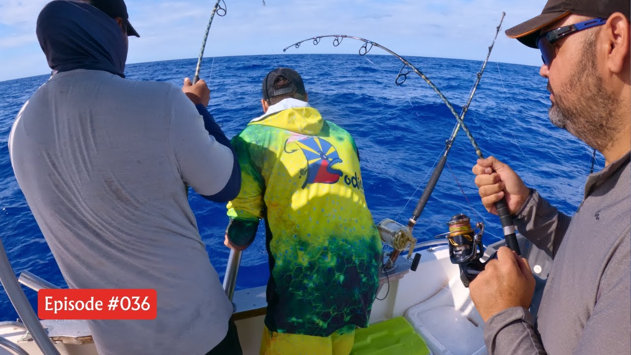 Pêche avec un Abonné : Poissons, Bonne Humeur, Dauphins et du SOLEIL !