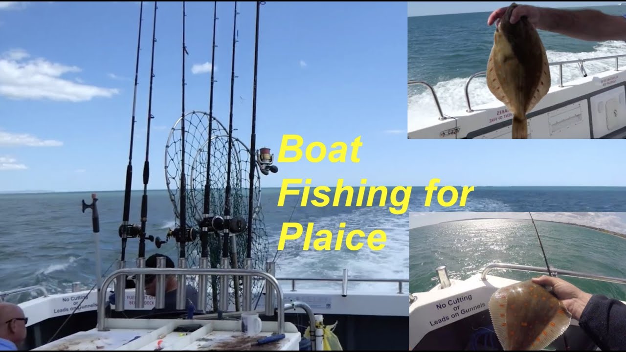 Boat Fishing for Plaice