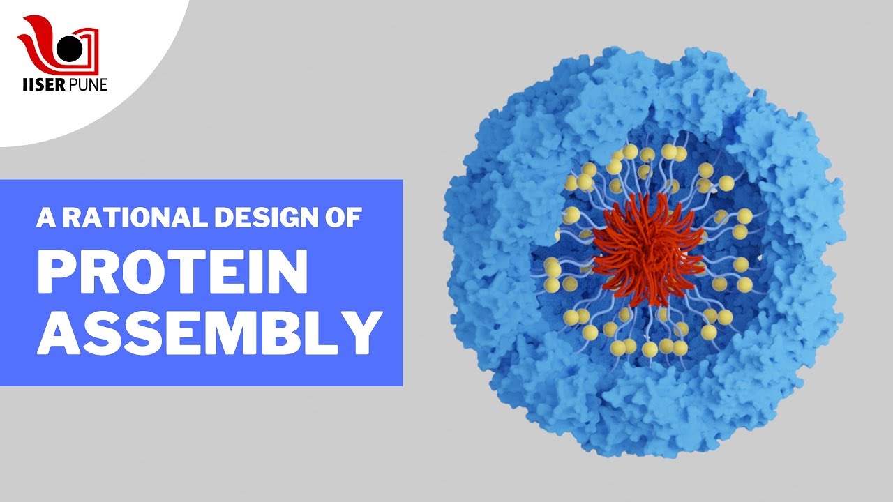 A Rational Design of Protein Assembly: Research at IISER Pune