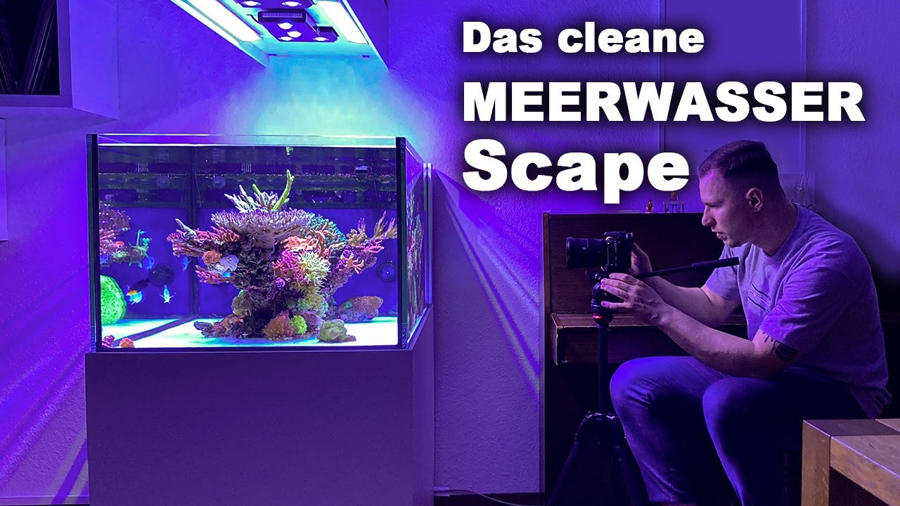 Besonderes AQUASCAPE (400 Liter Meerwasser) + Nachhaltigkeit!!
