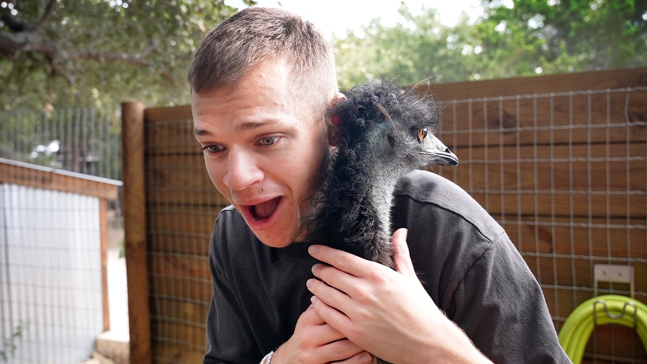 Jynxzi Visited Our Animal Sanctuary