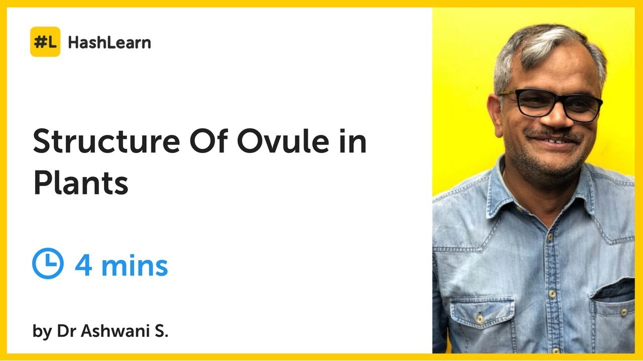 Structure Of Ovule in Plants