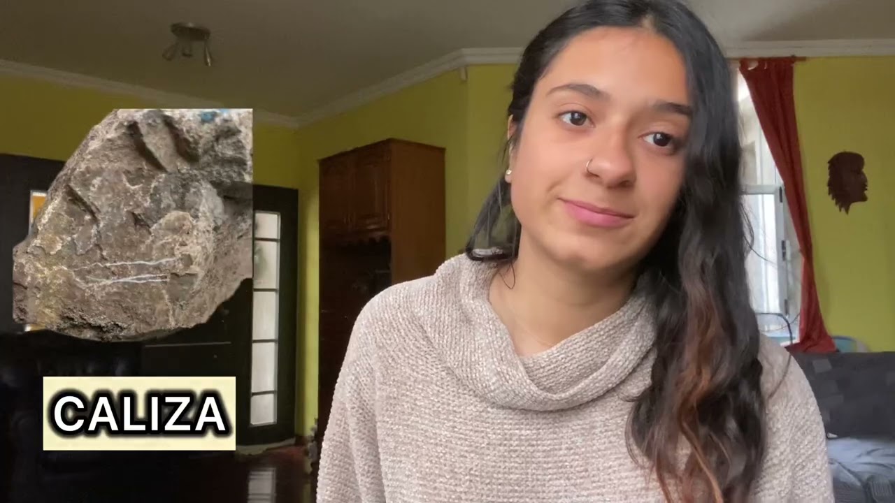 Roca Sedimentaria Química: CALIZA.