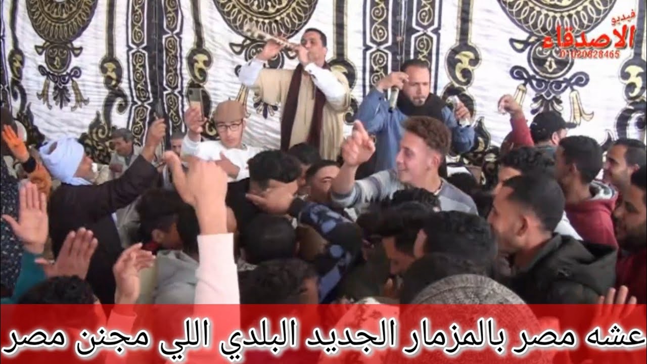 عشه مصر بالمزمار الجديد البلدي اللي مجنن مصر