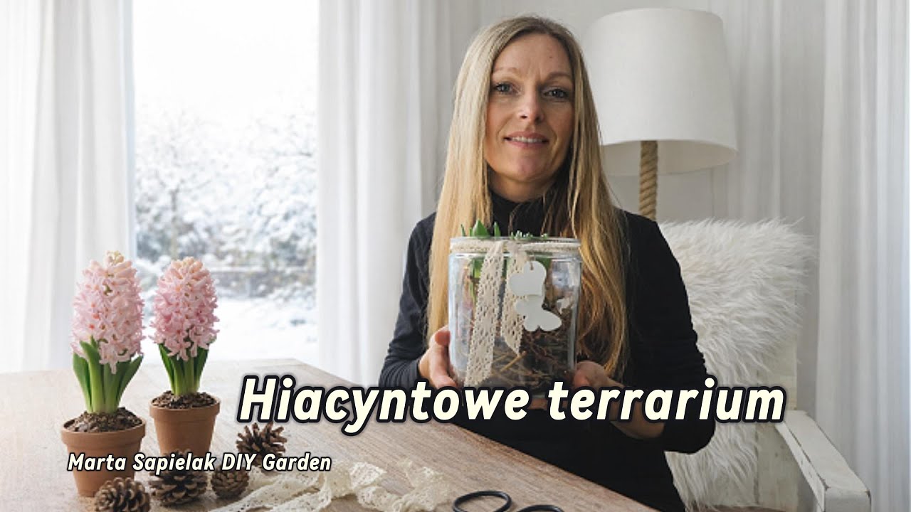 Hiacyntowe terrarium
