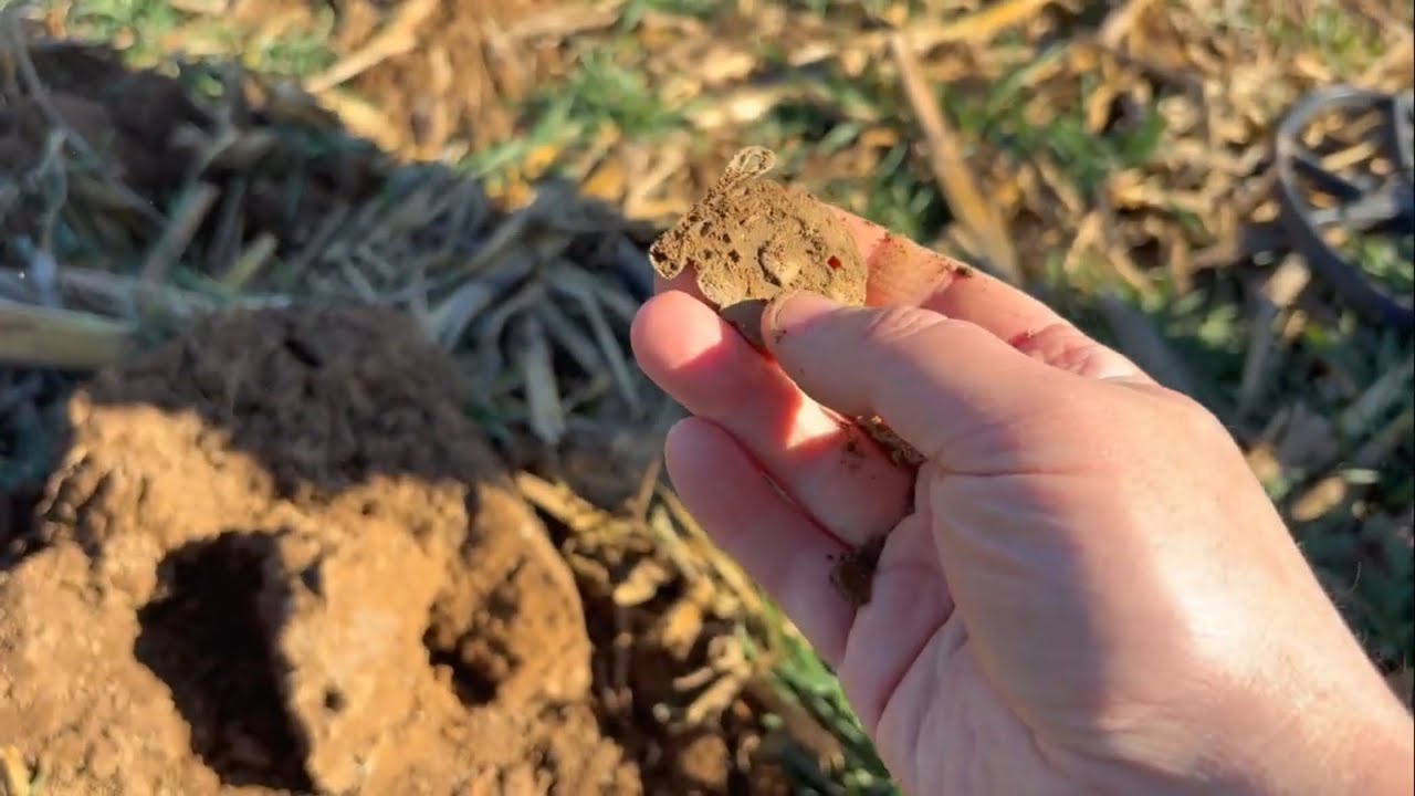 Ух ты!! Находим удивительные исторические артефакты на Замерзшей ферме!!