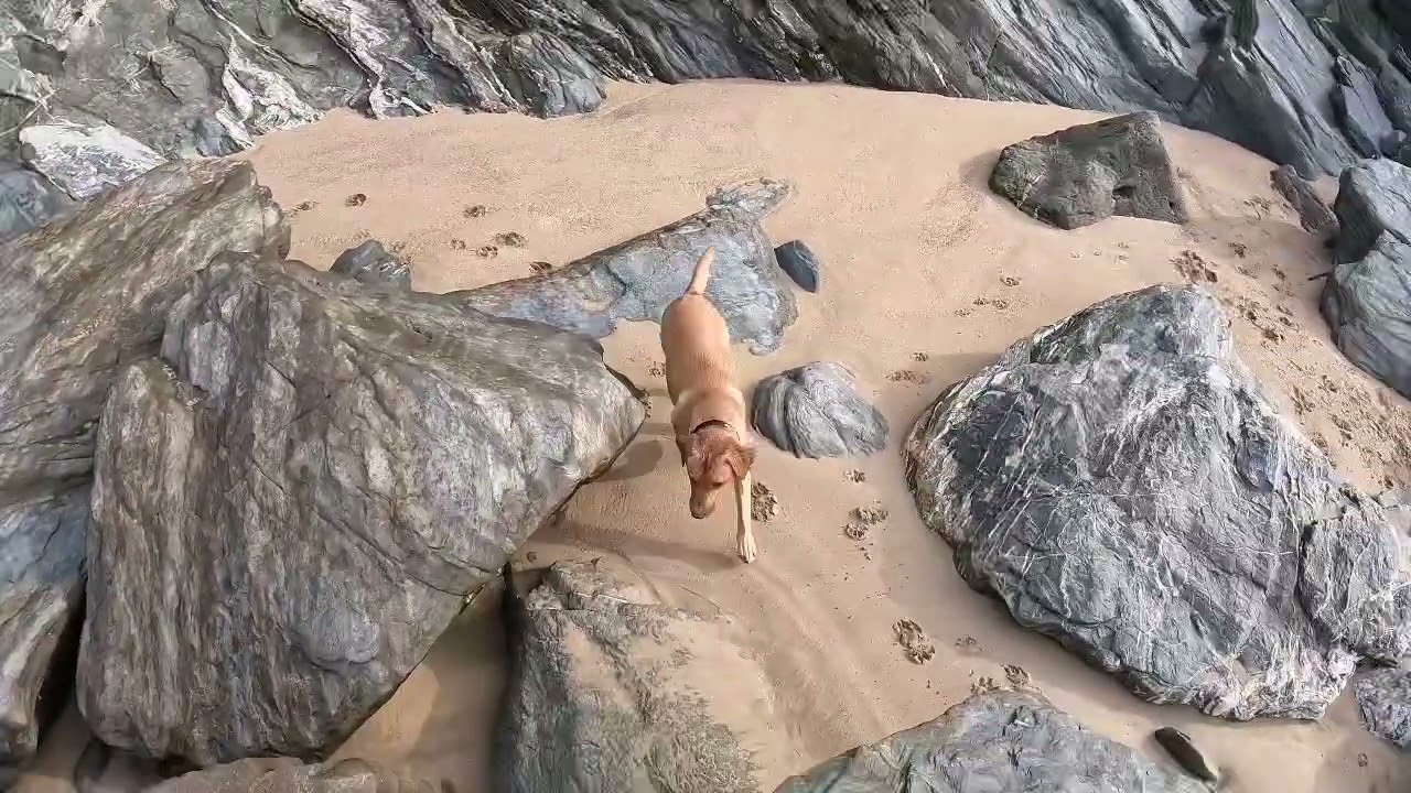 Newquay… Lusty glaze beach. What’s it like when the visitors have gone home?!