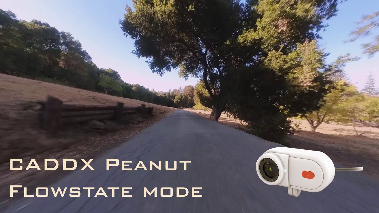 CADDX Peanut camera Flowstate test