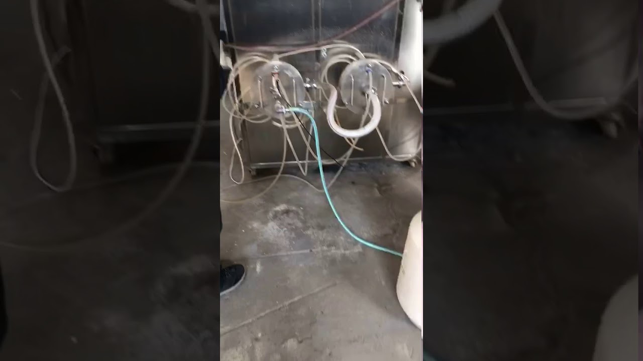 Foaming site of automatic latex foaming machine