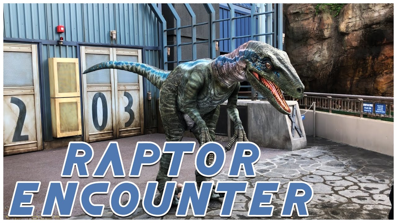 RAPTOR ENCOUNTER