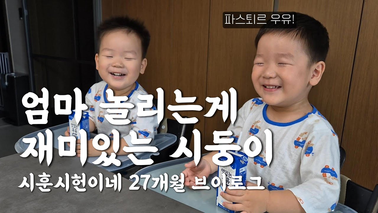 27개월 폭풍 성장 쌍둥이, 예측불가 하루💥