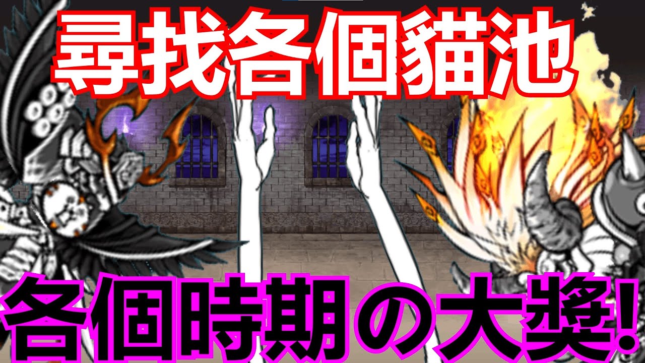 《貓咪大戰爭》原來他們都不是新手大獎！明明是同一個池卻有很多張大獎？！| 星帆貓咪介紹#98