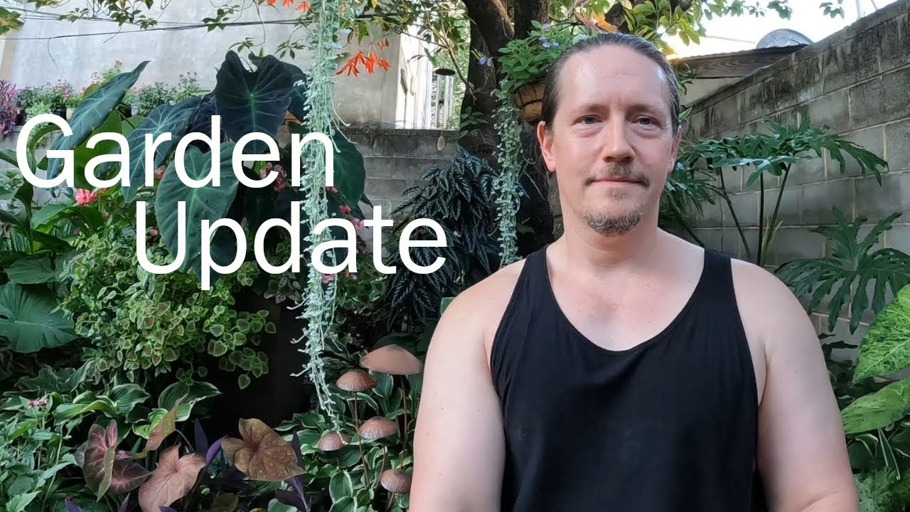 Garden Update | What worked and what didn't | Philly Gardening