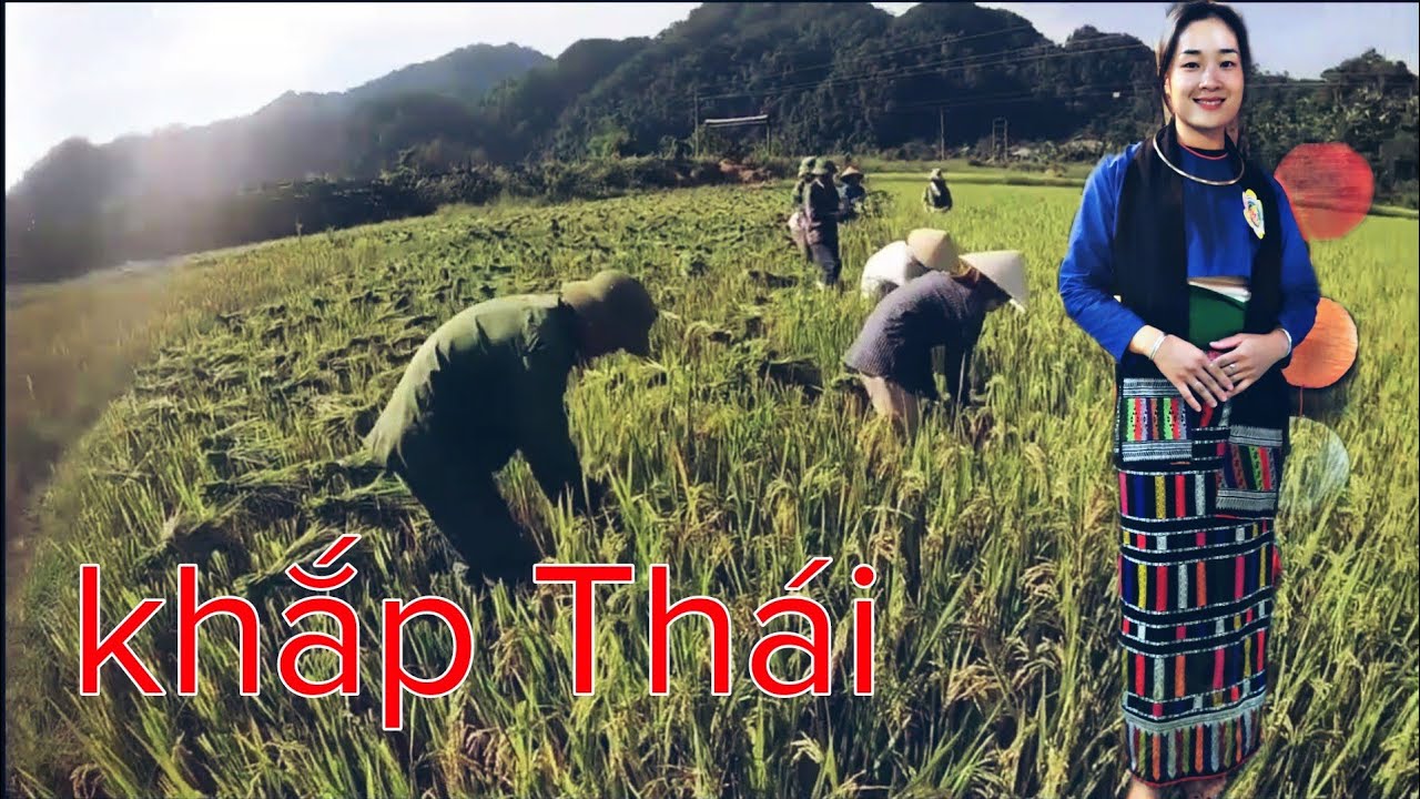 Khắp Thái | Trích đoạn khắp Thái hay nhất |phần 168| Cuộc sống văn hoá người Thái