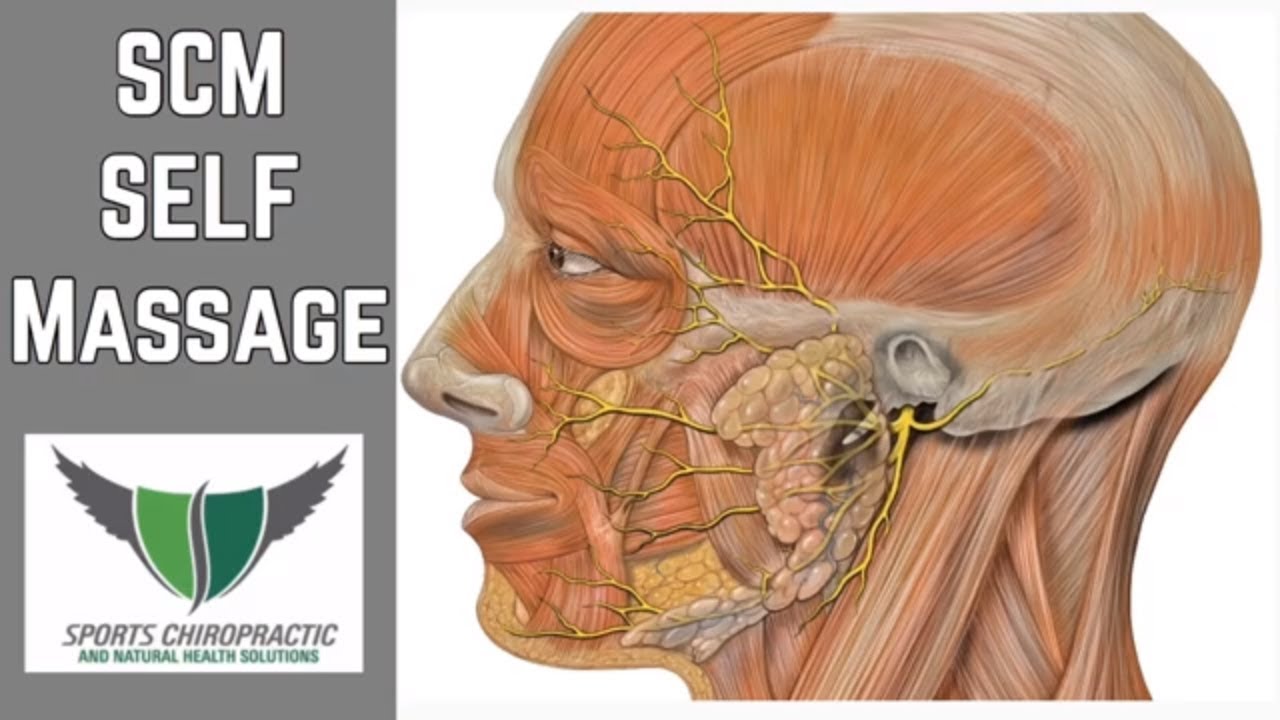 SCM Self Massage | Headache Pain Relief