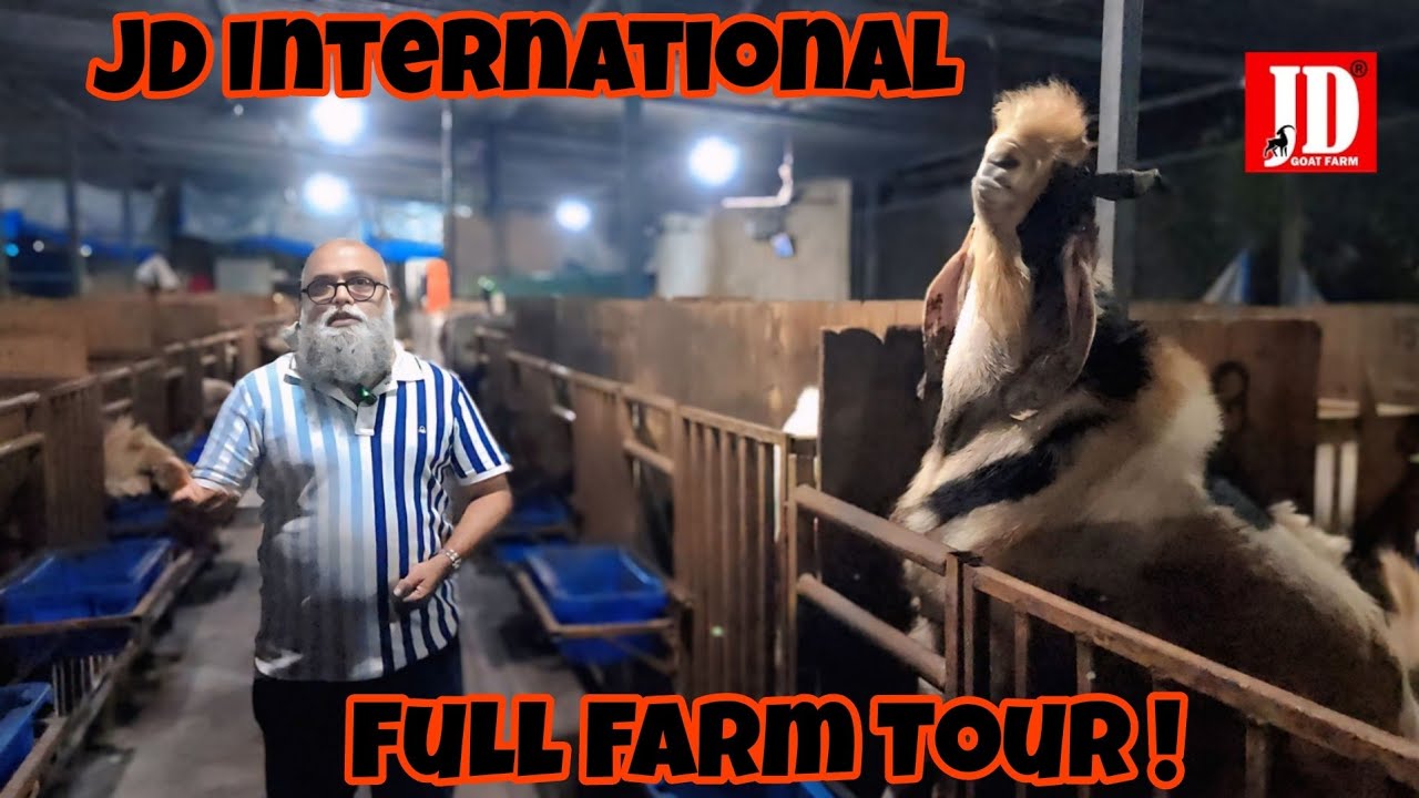 JD International Full Farm Tour | JD Goat Farm
