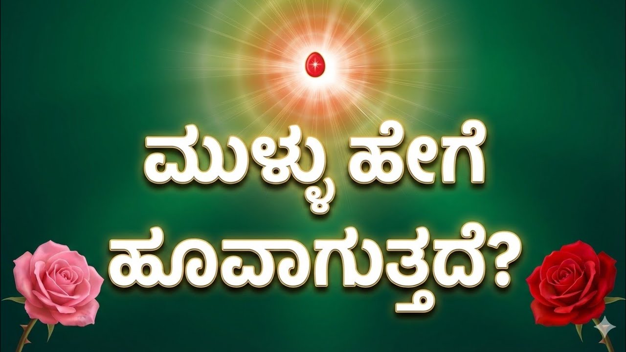 ಮುಳ್ಳಿನ ಕಾಡಿನಿಂದ ಹೂವಿನ ತೋಟಕ್ಕೆ 🌸 | ಭೋಲಾಭಂಡಾರಿ ಶಿವಬಾಬಾ | 12-02-2026 ಮುರಳಿ ಮಂಥನ