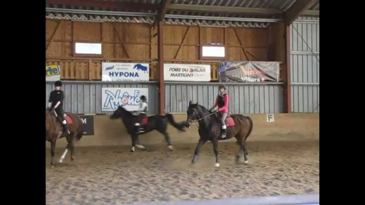 Brevet équestre Sion le 17 février 2013
