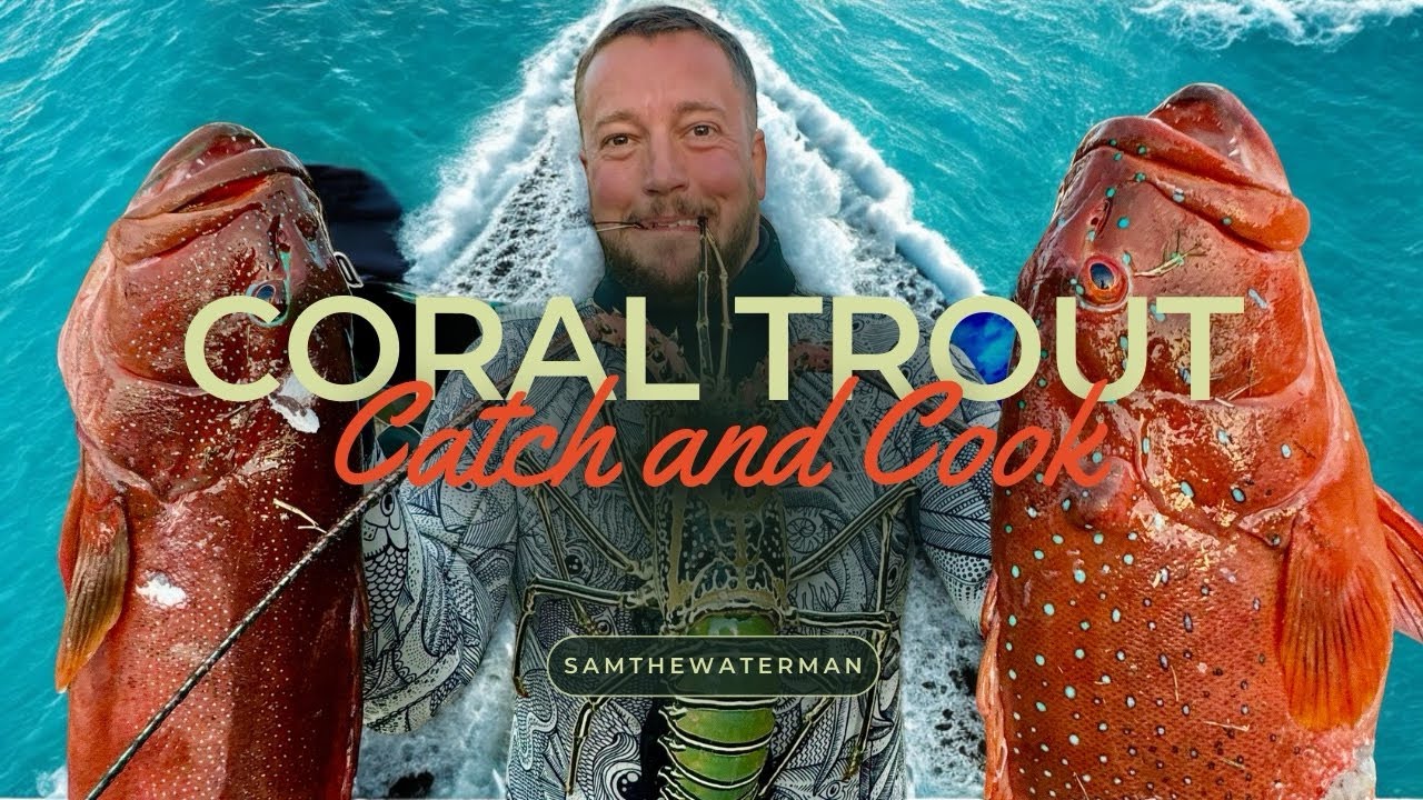 Spearfishing Coral Trout + Catch and Cook