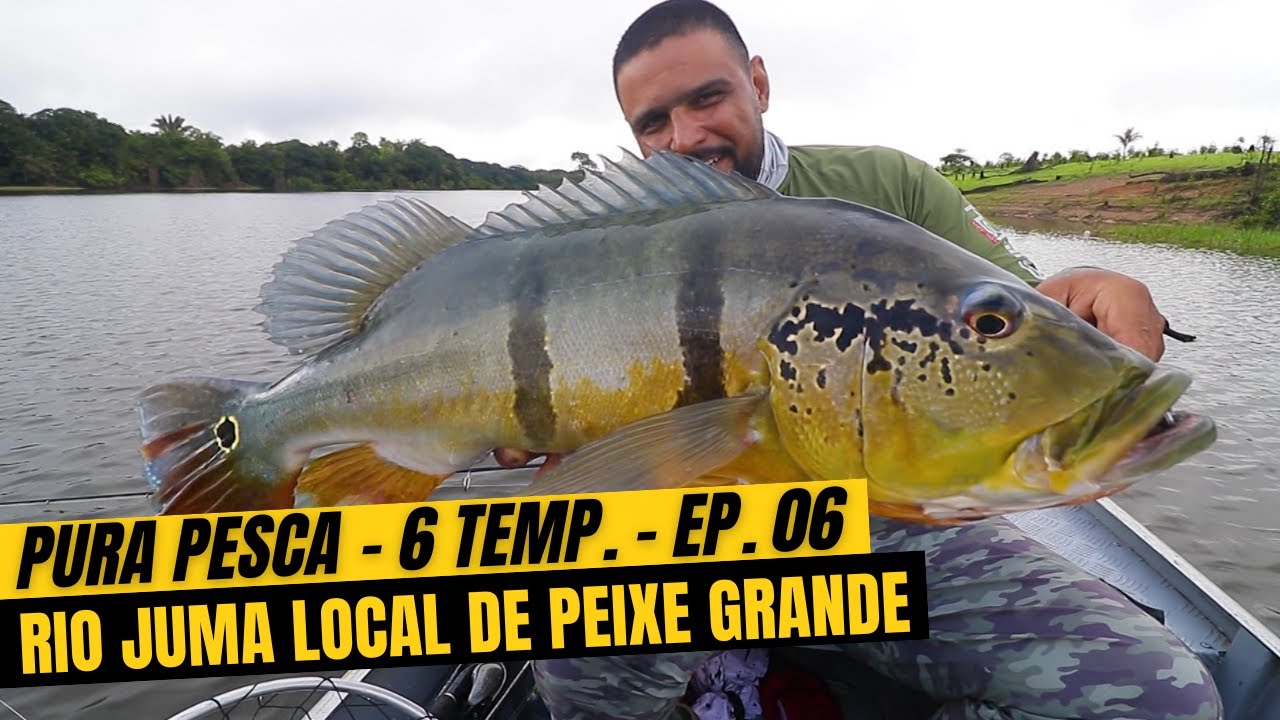PURA PESCA - 6ª TEMP. - Ep. 06 - RIO JUMA LOCAL DE PEIXE GRANDE