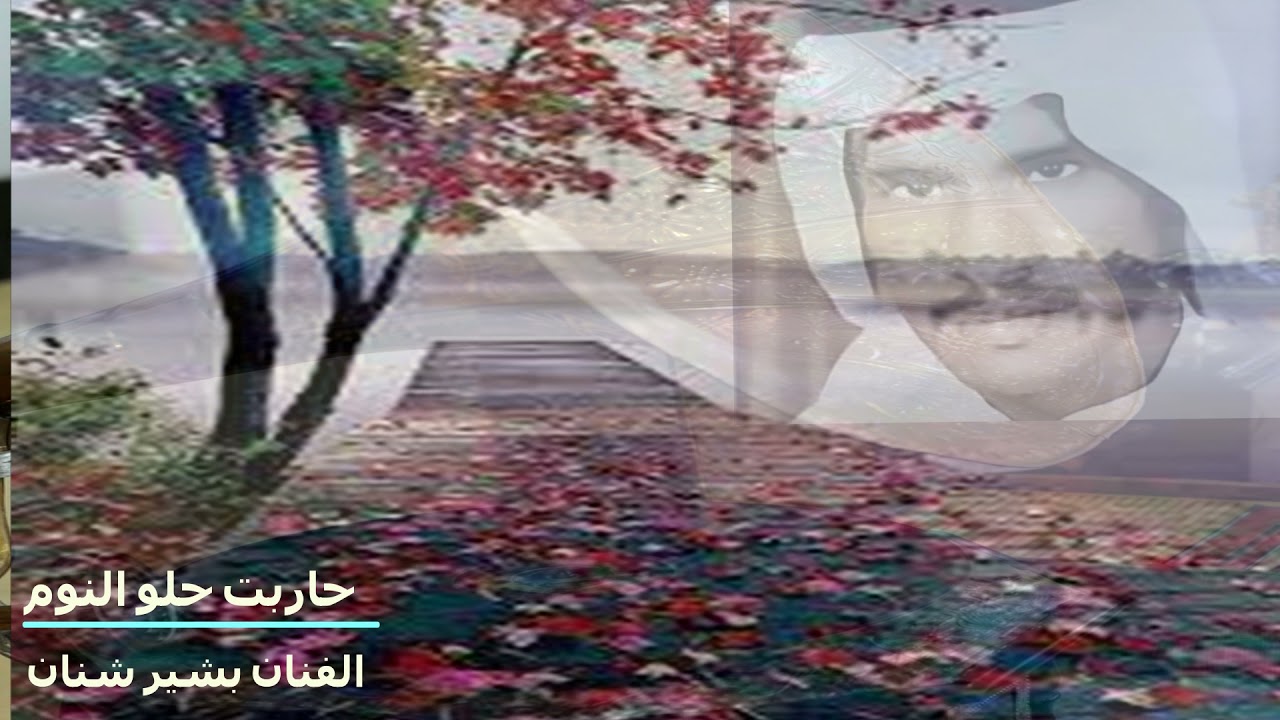 حاربت حلو النوم / الفنان بشير شنان /هندسه صوتيه حصريه متميزه