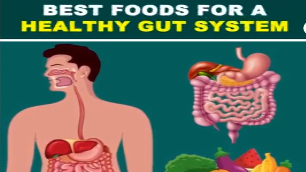 Best Foods For A Healthy Gut System || KRANTI ODISHA HEALTH ||